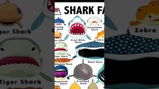 shark faces/drilled shark #shortvideo #viral #subscribe