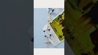 Ocean Themed Wooden Photo Clip #shorts #shortvideo