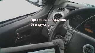 Прописка форсунок в ЭБУ Ssangyong