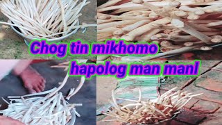 Chog tin mikhomo hapolog man manl  video ss tripura