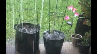 Torrential Downpour | Were the Seedlings Saved? | Garden Gatherings Garden Update 13