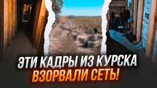 💥2 ГОДИНИ ТОМУ! Спецназ СБУ УВІРВАВСЯ У БЛІНДАЖ росіян під Курськом! Понад 100 полонених ЗА ОДИН РАЗ