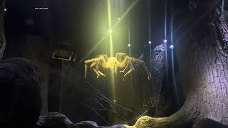 Harry Potter Warner Bros tour in London - the Forbidden Forest & Aragog spider lightning July 2024