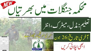 🌲New Forest Department Jobs 2023 | Mehkma Janglat Forestry Jobs Guard| Latest New Jobs 2023 Govt