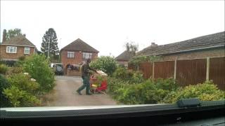 TREE PRUNE SHRUB CUT AND CHIPPED