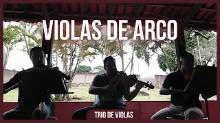 Trio de Violas de Arco CCB