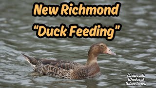 New Richmond: Duck Feeding