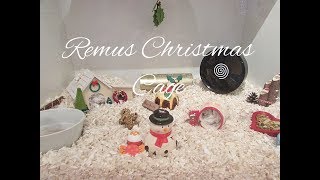 Christmas Hamster cage tour 2017