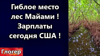 Гиблое место Лес в Майами ! Зарплаты в штатах !Чёрные просят денег за Камалу ! Трамп изменился !#сша