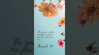 THE WORD OF GOD STANDS FOREVER | WORD OF GOD | ISAIAH 40:8 | BIBLE VERSE @Blessings-dd3uv