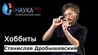 Хоббиты: кто такие, где искать| Лекции по антропологии – антрополог Станислав Дробышевский | Научпоп