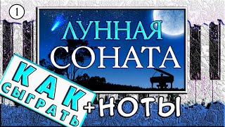 Лунная Соната На Пианино ОБУЧЕНИЕ + НОТЫ 🎹 Урок Для Начинающих