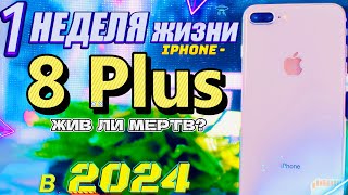 Каково ходить с iPhone 8 Plus в 2024 году, стоит ли брать?!