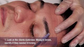 Brow Waxing Using the Silver Tourmaline Thin Film Flex Wax