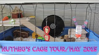 Nutmeg's Cage Tour / May 2015