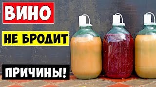 ВИНО НЕ БРОДИТ! Что Делать? Остановилось брожение вина! Причины!