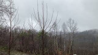 Smoky Mountains Late Winter Rain