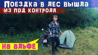 На АЛЬФЕ в лес с ночевкой. Поездка которая полностью вышла из под контроля.