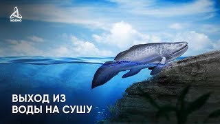 Как выходила жизнь из ВОДЫ на СУШУ?