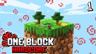 Lets Start New Oneblock Hardcore Series In Minecraft EP 1 @GamerFleet @AnshuBisht