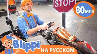 Песня "Стоп... и Вперед!" | Обучающие песни для детей | Blippi Russian