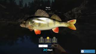 02 Russian Fishing 4 Trolling Kuori Lake PC 2022