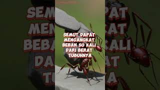 Fakta Unik di Dunia #shortvideo #shorts #fypシ #facts #faktaunik #tentangfakta07 #viral #fakta