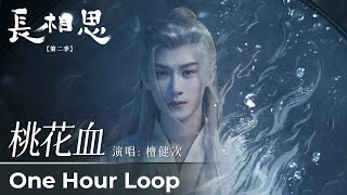 【One Hour Loop】Lost You Forever S2《长相思 第二季》 | 《桃花血》"Tao Hua Xie" by Tan Jianci #檀健次