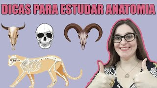 Dicas para estudar Anatomia