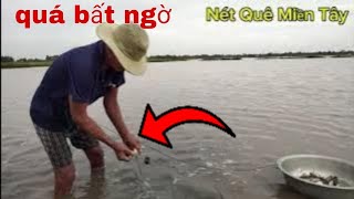 Giăng lưới cá rô đồng mùa nước nổi miền tây Fishing #08