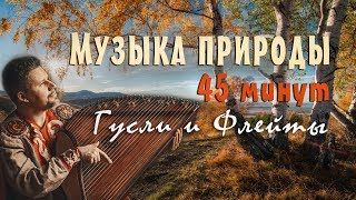 Красивая музыка природы слушать 45 минут 🌿 Русские гусли & Флейты.  Музыка для сна и отдыха!