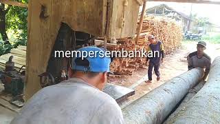 REJEKI NIMPLOK KERJA SANTAI DENGAN UPAH BERLIPAT .belah kayu sengon sangat mudah