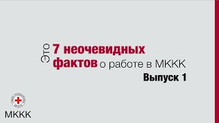 Успешные переговоры, груз ответственности и суперспособность: 7 неочевидных фактов о работе в МККК