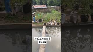 Relaksasi Belakang Rumah