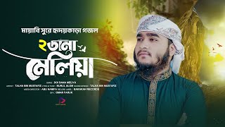 মায়াবি সুরে হৃদয়কাড়া গজল | Dui Dana Meliya | ও আমি পাখি হলে যেতাম উড়ে দুই ডানা মেলিয়া | Talha