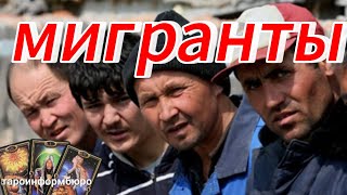 МИГРАНТЫ В РОССИИ. СКРЫТАЯ УГРОЗА.  ТАРО ПРОГНОЗ