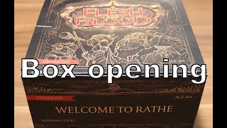 Flesh and Blood Welcome to Rathe Unlimited Display Opening