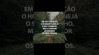 A última palavra é do Senhor🙏🏽🙌🏽#biblia #versiculododia #deus #jesus #amor #fé #oração#frases#shorts