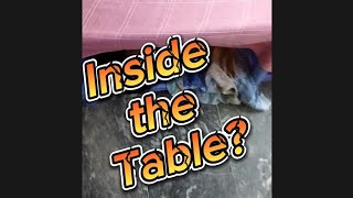 Inside the Table // One Minute Vlog // #shortsvlog #viralvlog