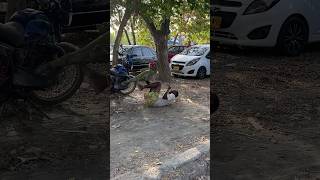 la iguana divertida parte 3