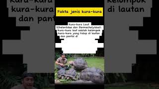 Fakta Jenis Kura-Kura #sorts #faktahewan #kurakura