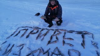 1400км от дома. Приполярный Урал. Рыбалка на Севере в ХМАО. Мечта рыбака.