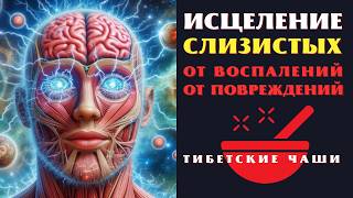 Исцеление Слизистых Звуком Поющих Тибетских Чаш с Альфа волнами