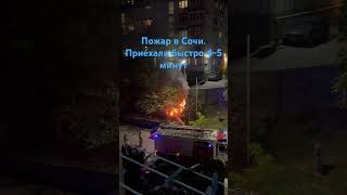 Пожар в Сочи. Горел сухой большой пень. Пожарные приехали быстро!!!  Огонь потушили.