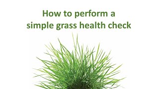 Time for a grass health check? | How to perform a grass health check on your pasture | LG Seeds UK