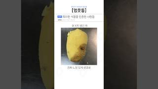 특이한 식물을 인증한 사람들ㅋㅋㅋ