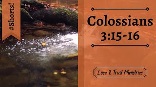 Let the Peace of Christ Rule Within You! | Colossians 3:15-16 | October 30th | Rise and Shine Shorts