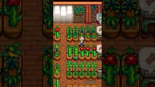 Stardew Valley Shed