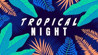 Tropical Night Music | Dreamy Music to Relax and Unwind | Lounge Music