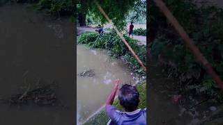 বড়শিতে কালনা মাছ #shorts #fish #fishing